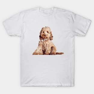 Cavoodle Labradoodle Cockapoo Mini Poodle x Cute Puppy Dog T-Shirt